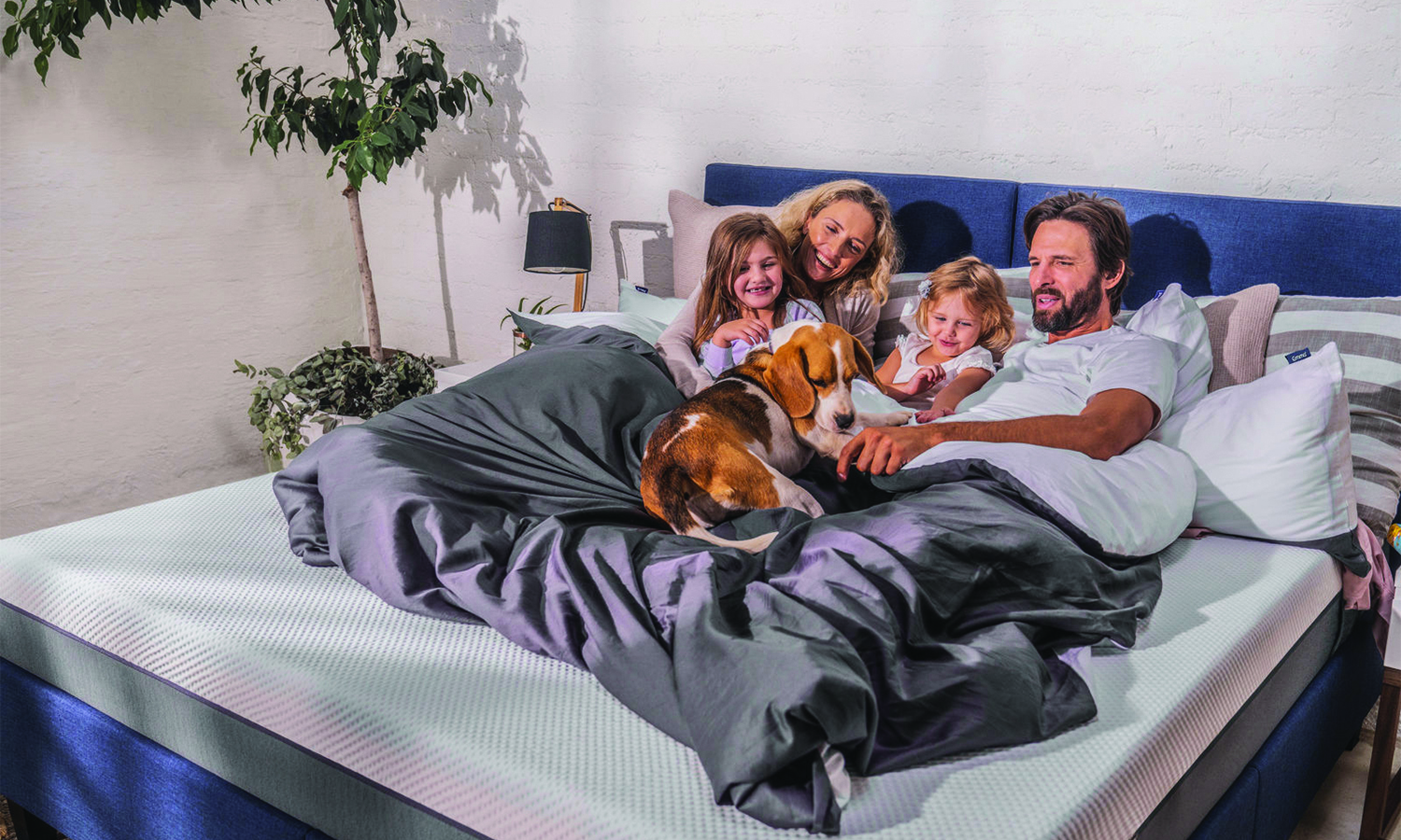 Emma – The Sleep Company Designed New Range for China Market