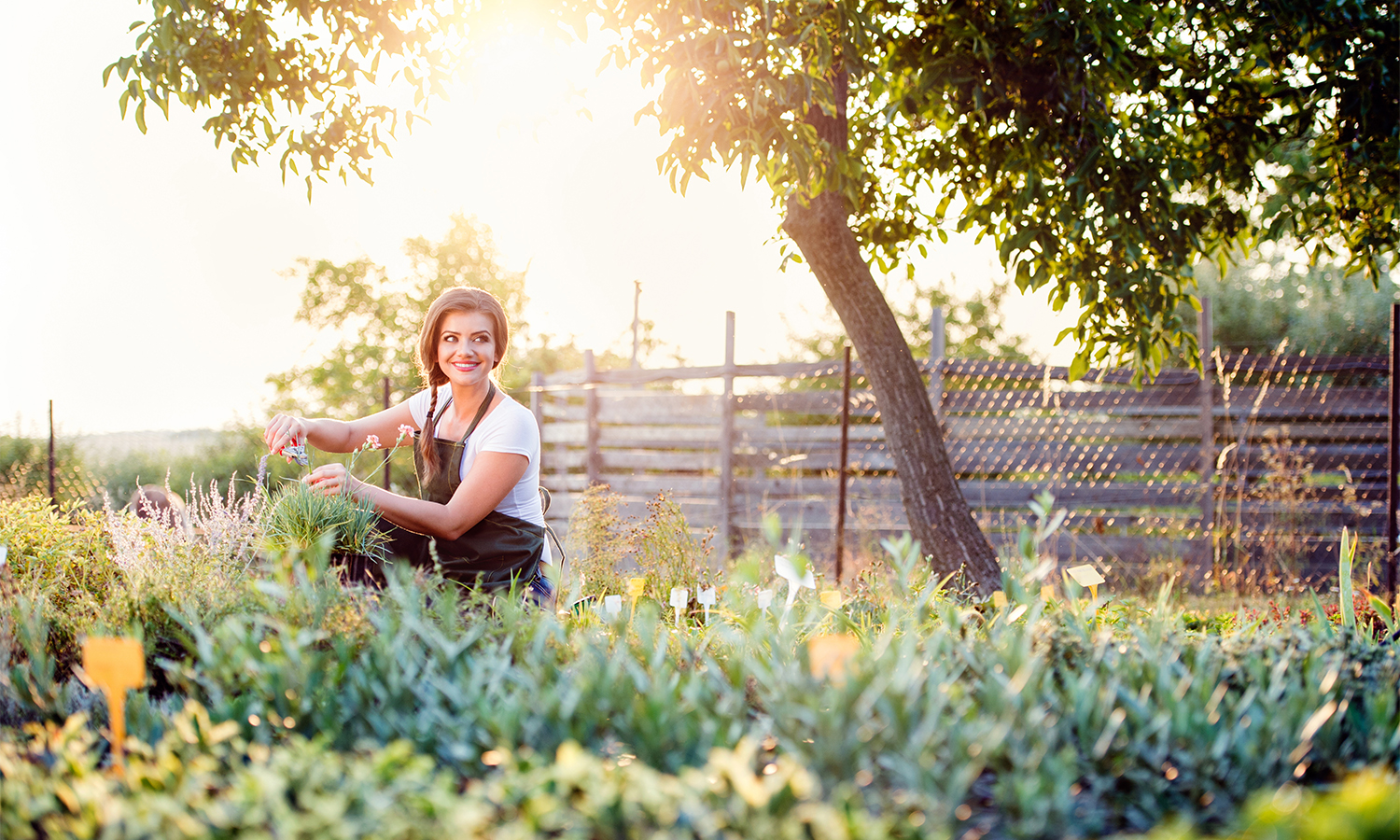 Garden Spa Using Fresh Herbs for Beauty