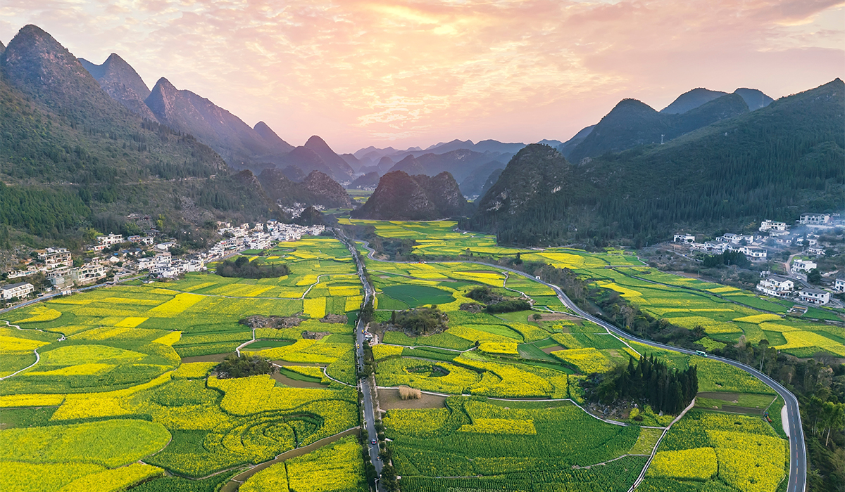 中国健康革命全景